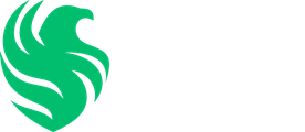 Falcon Vega