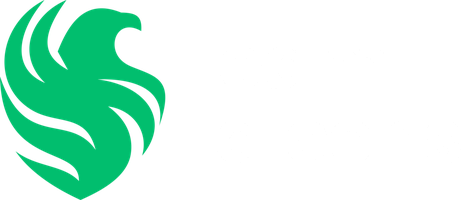 Falcon Vega