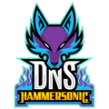 DNS Hammersonic Esports